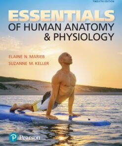 Essentials of Human Anatomy & Physiology 12th Edition - Original PDF ebook