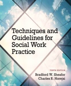 Techniques and Guidelines for Social Work Practice 10th Edition - Original PDF ebook