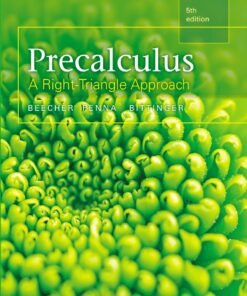 Precalculus: A Right Triangle Approach 5th Edition - Original PDF ebook